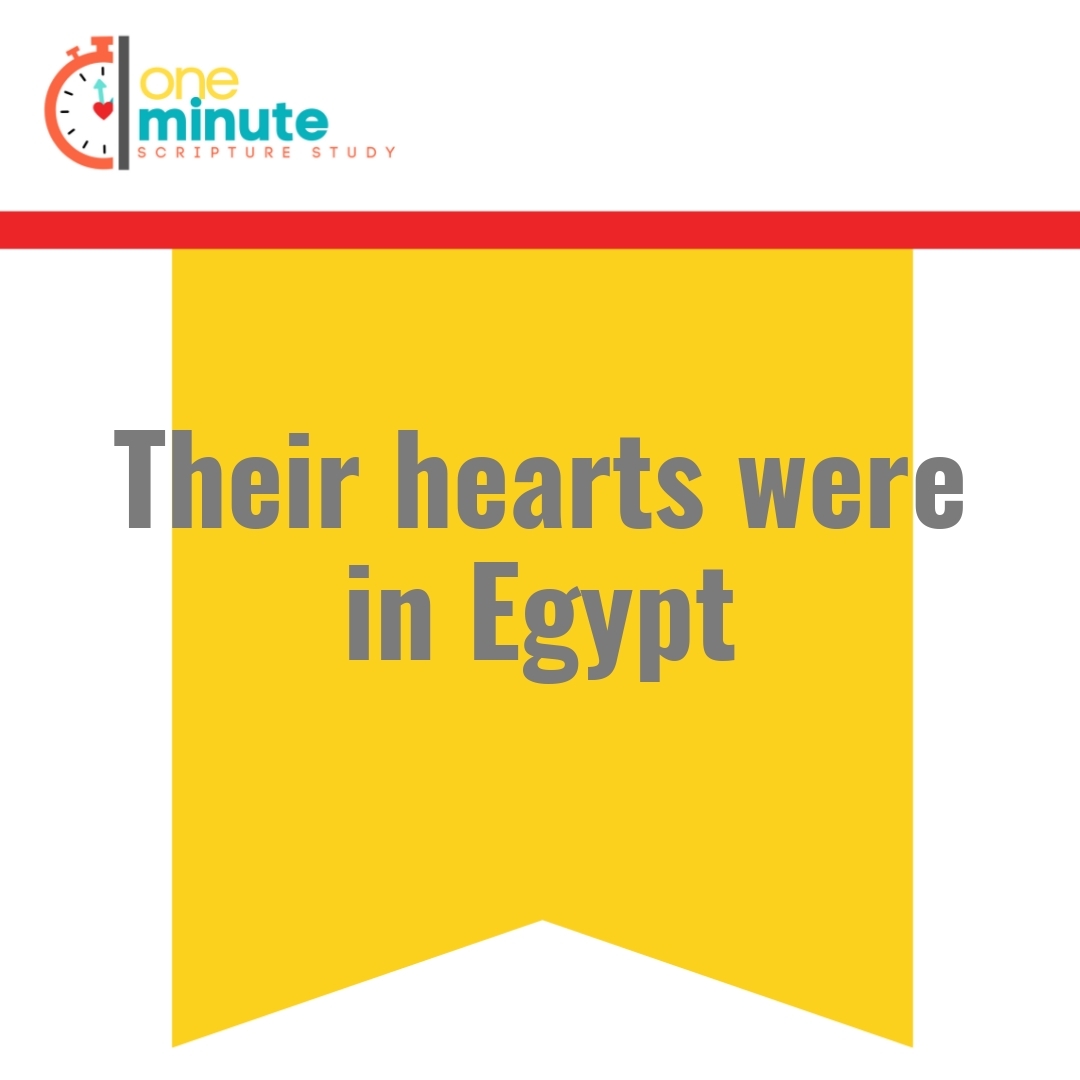 Read more about the article Their hearts were in Egypt