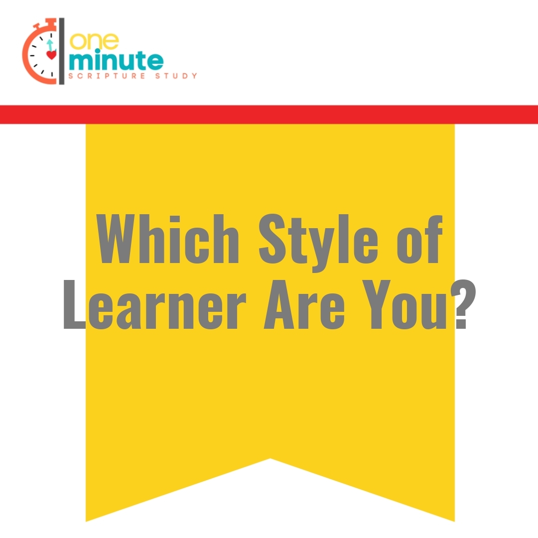 Read more about the article Which Style of Learner Are You?