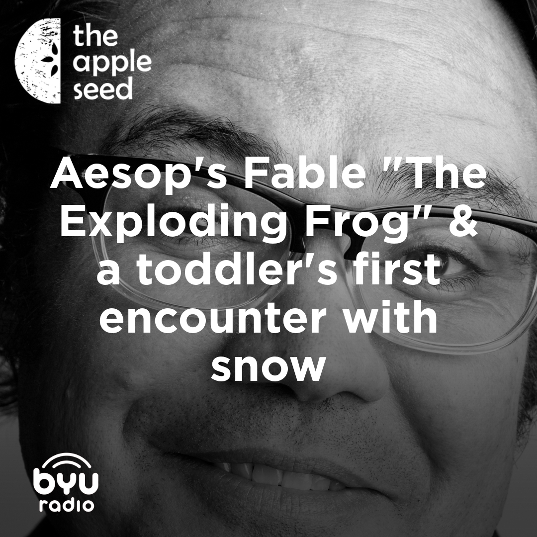 Read more about the article Aesop’s Fable “The Exploding Frog” & a toddler’s first encounter with snow