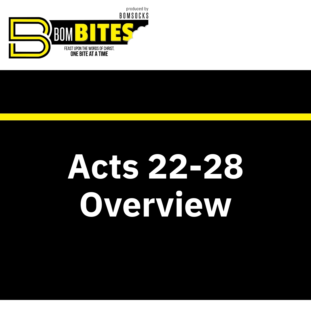Read more about the article Acts 22-28 Overview
