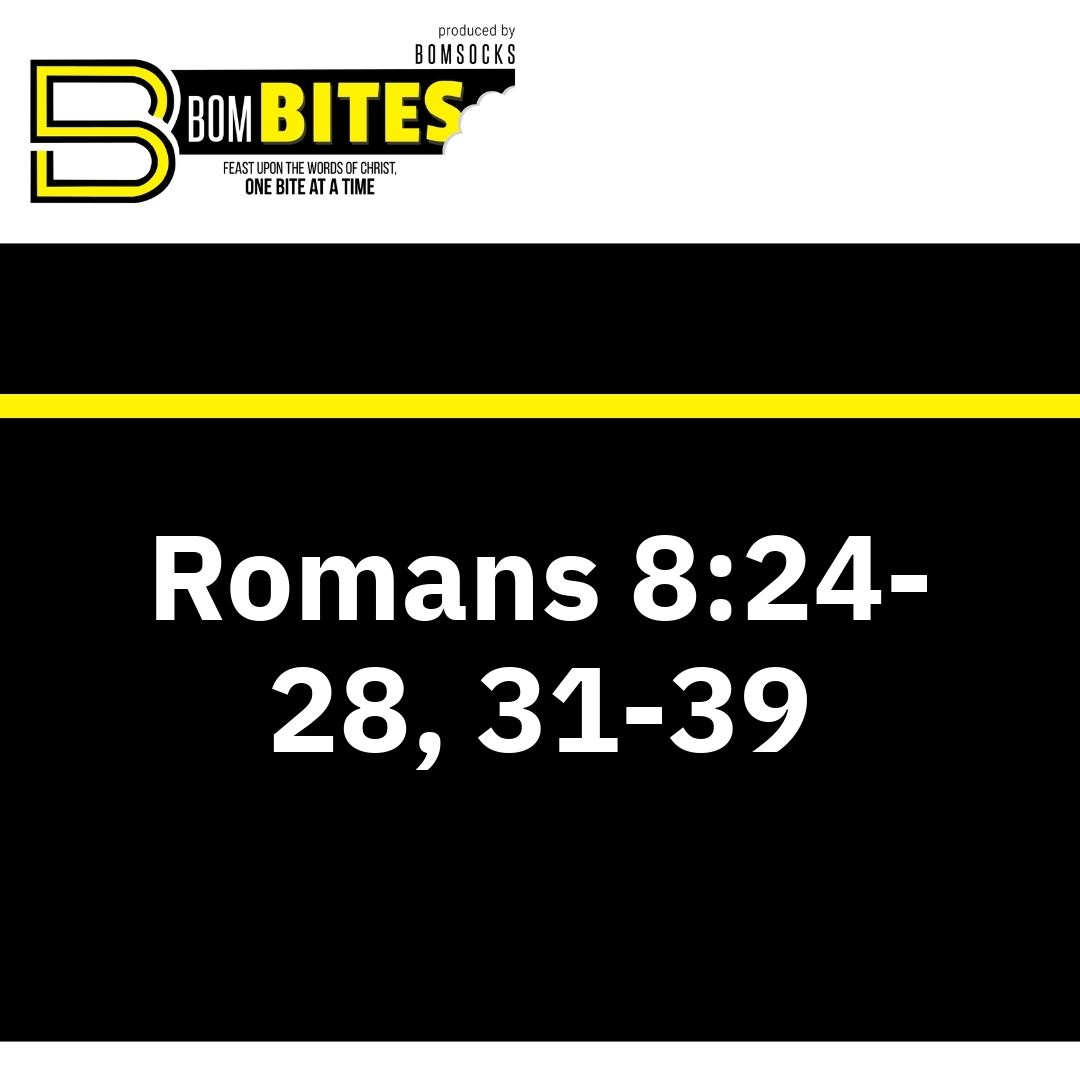 Read more about the article Romans 8:24-28, 31-39