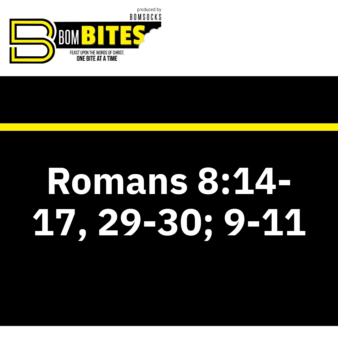 Read more about the article Romans 8:14-17, 29-30; 9-11
