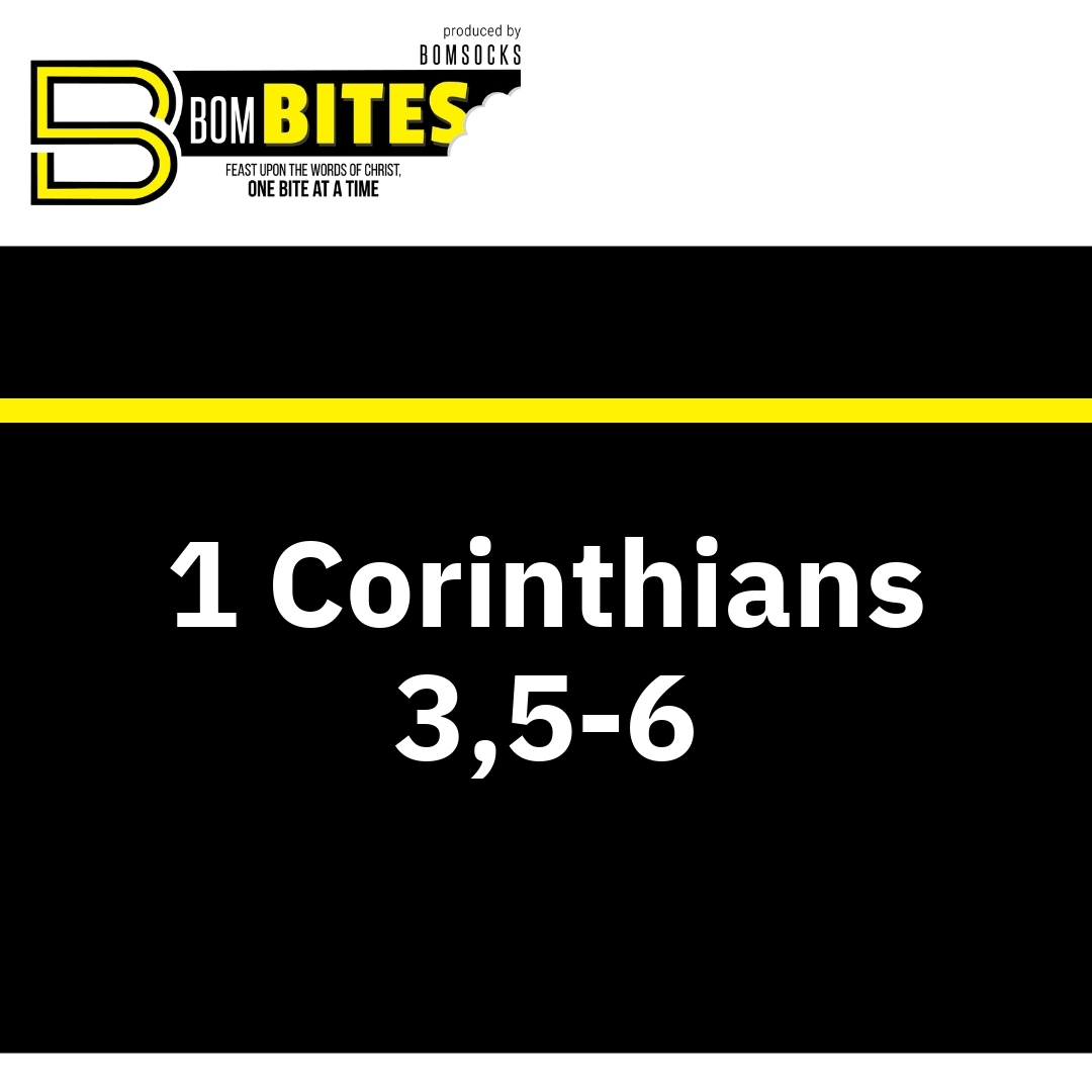 Read more about the article 1 Corinthians 3,5-6