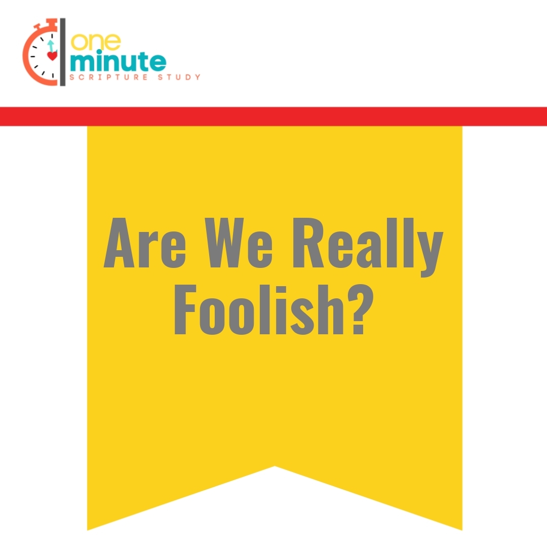 Read more about the article Are We Really Foolish?