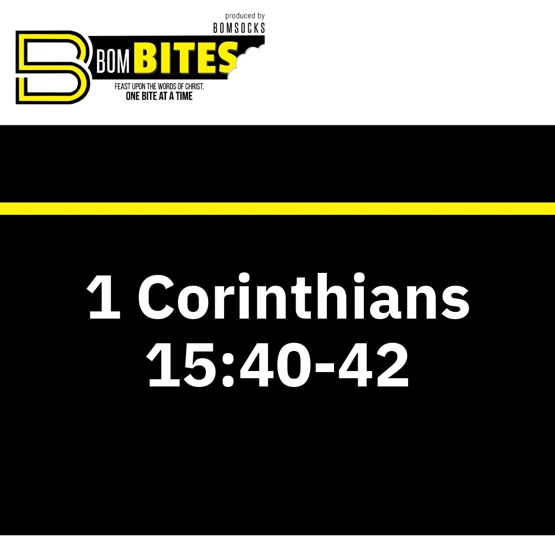 Read more about the article 1 Corinthians 15:40-42