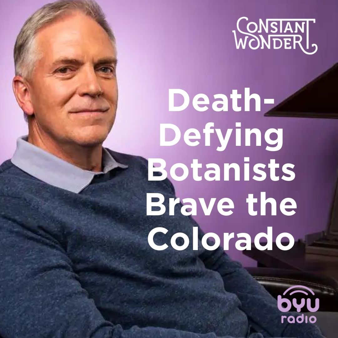 Read more about the article Death-Defying Botanists Brave the Colorado