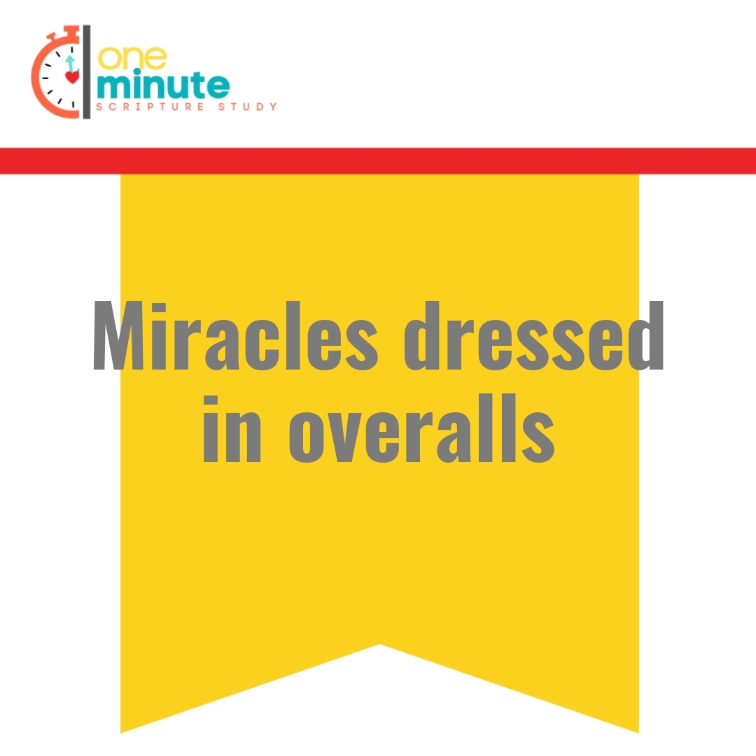 Read more about the article Miracles dressed in overalls
