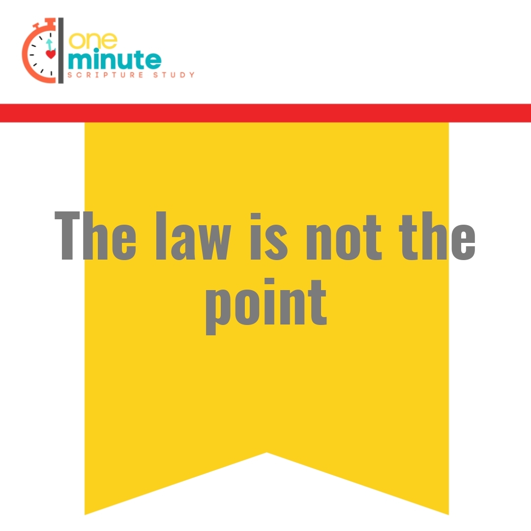 Read more about the article The law is not the point