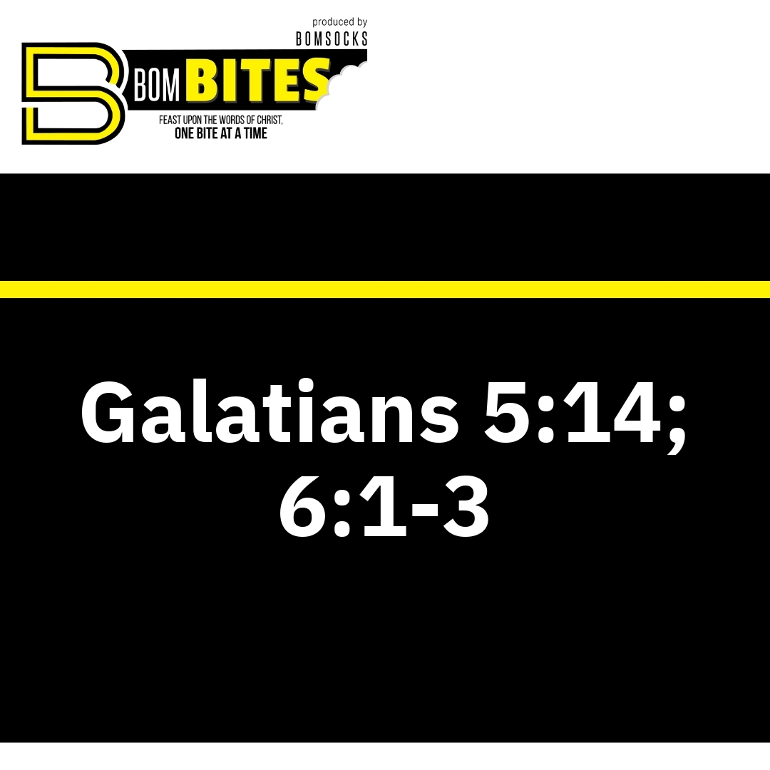 Read more about the article Galatians 5:14; 6:1-3