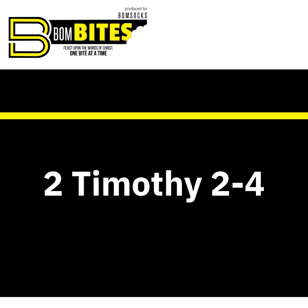 Read more about the article 2 Timothy 2-4