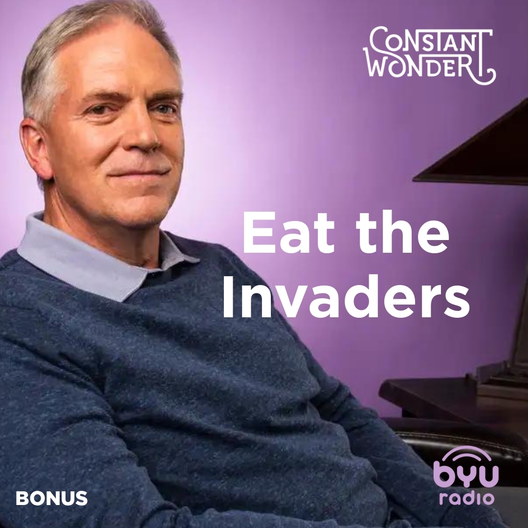 Read more about the article Eat the Invaders