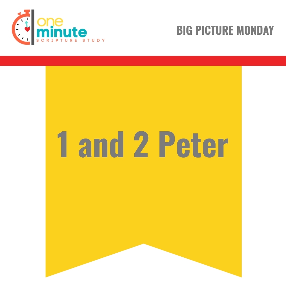 Read more about the article 1 and 2 Peter