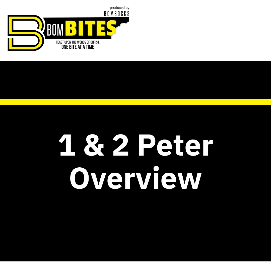 Read more about the article 1 & 2 Peter Overview