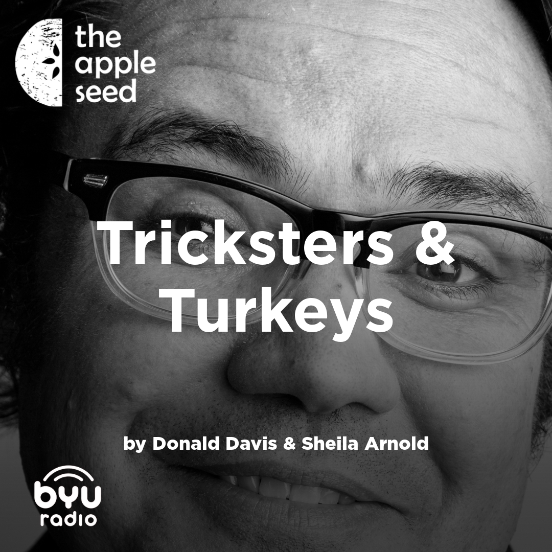 Read more about the article Tricksters & Turkeys