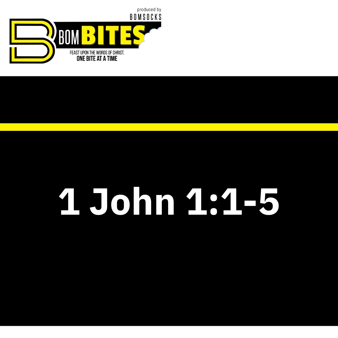 Read more about the article 1 John 1:1-5