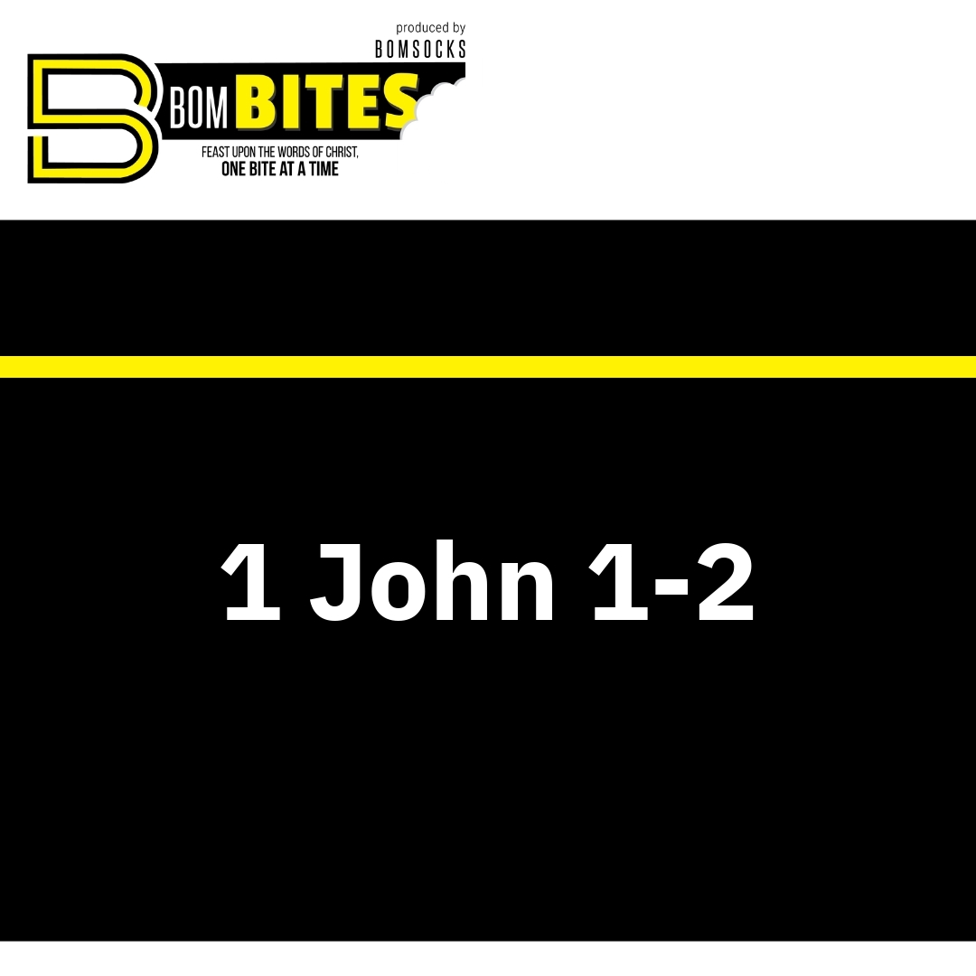 Read more about the article 1 John 1-2