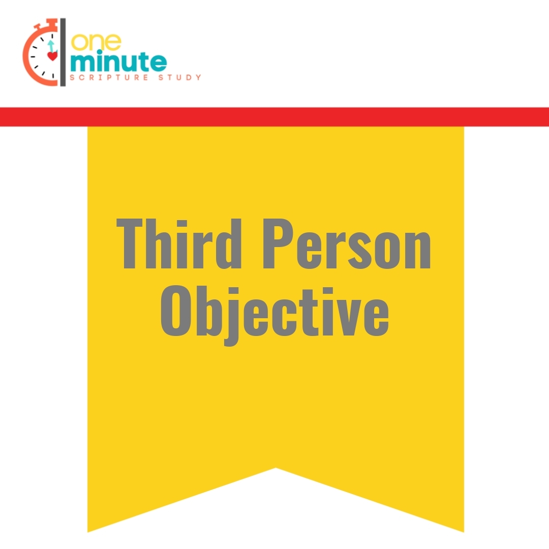 Read more about the article Third Person Objective
