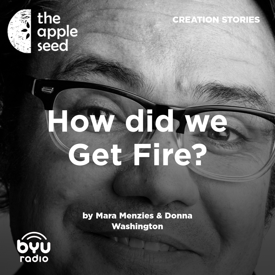 Read more about the article How did we Get Fire?