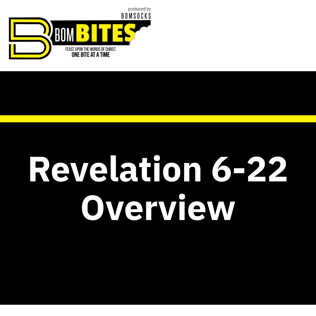 Read more about the article Revelation 6-22 Overview