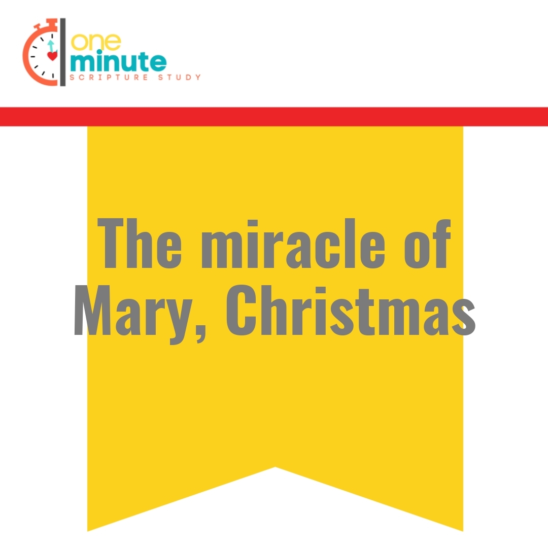 Read more about the article The miracle of Mary, Christmas