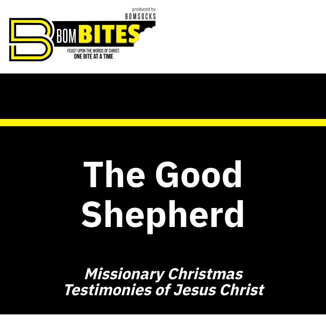 Read more about the article The Good Shepherd