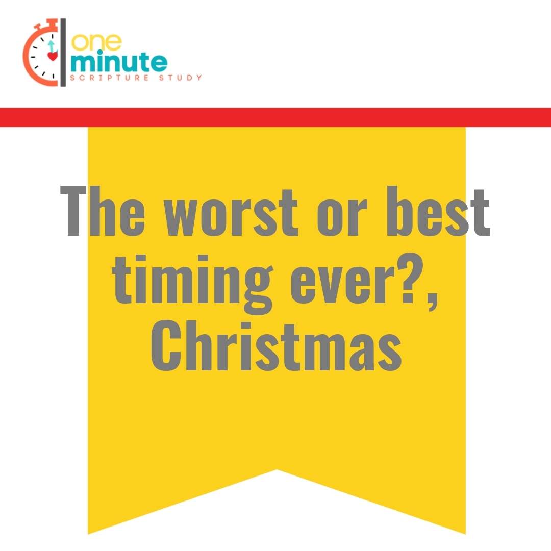 Read more about the article The worst or best timing ever?, Christmas