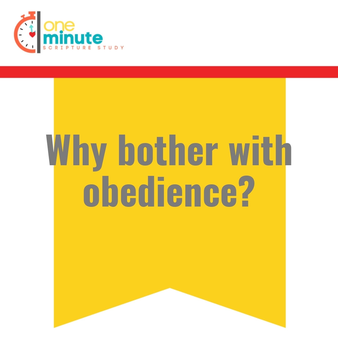 Read more about the article Why bother with obedience?
