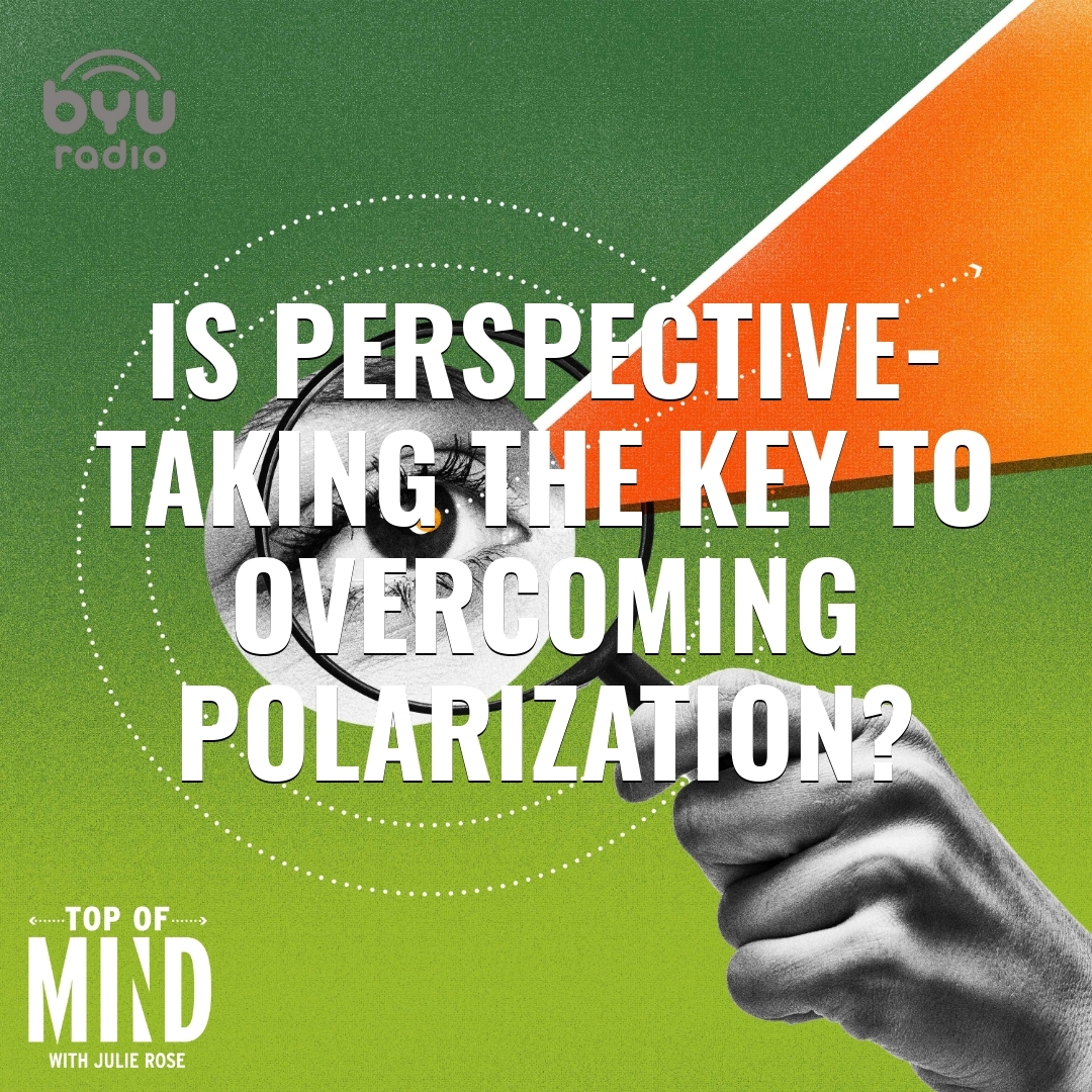 Read more about the article Is Perspective-Taking the Key to Overcoming Polarization?