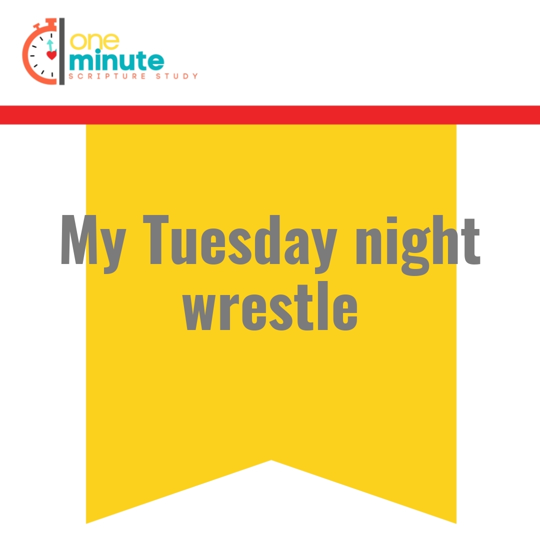 Read more about the article My Tuesday night wrestle