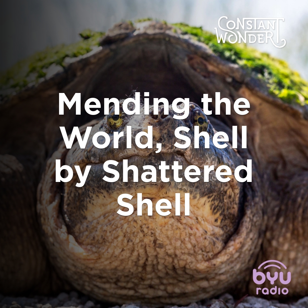 Read more about the article Mending the World, Shell by Shattered Shell