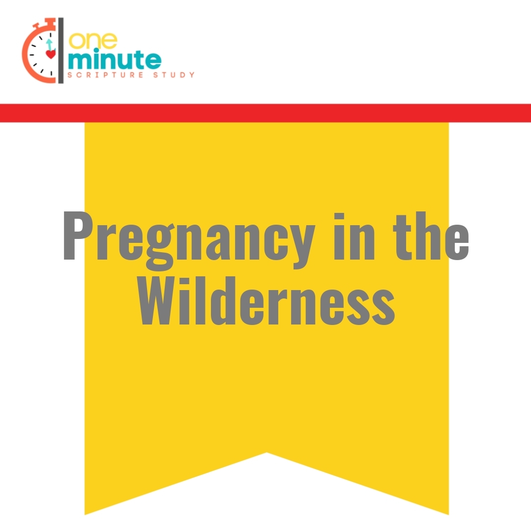 Read more about the article Pregnancy in the Wilderness