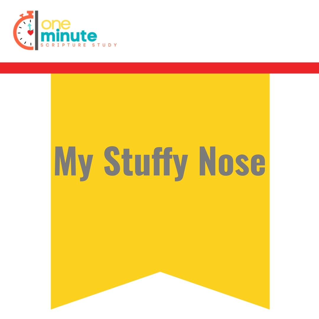 Read more about the article My Stuffy Nose