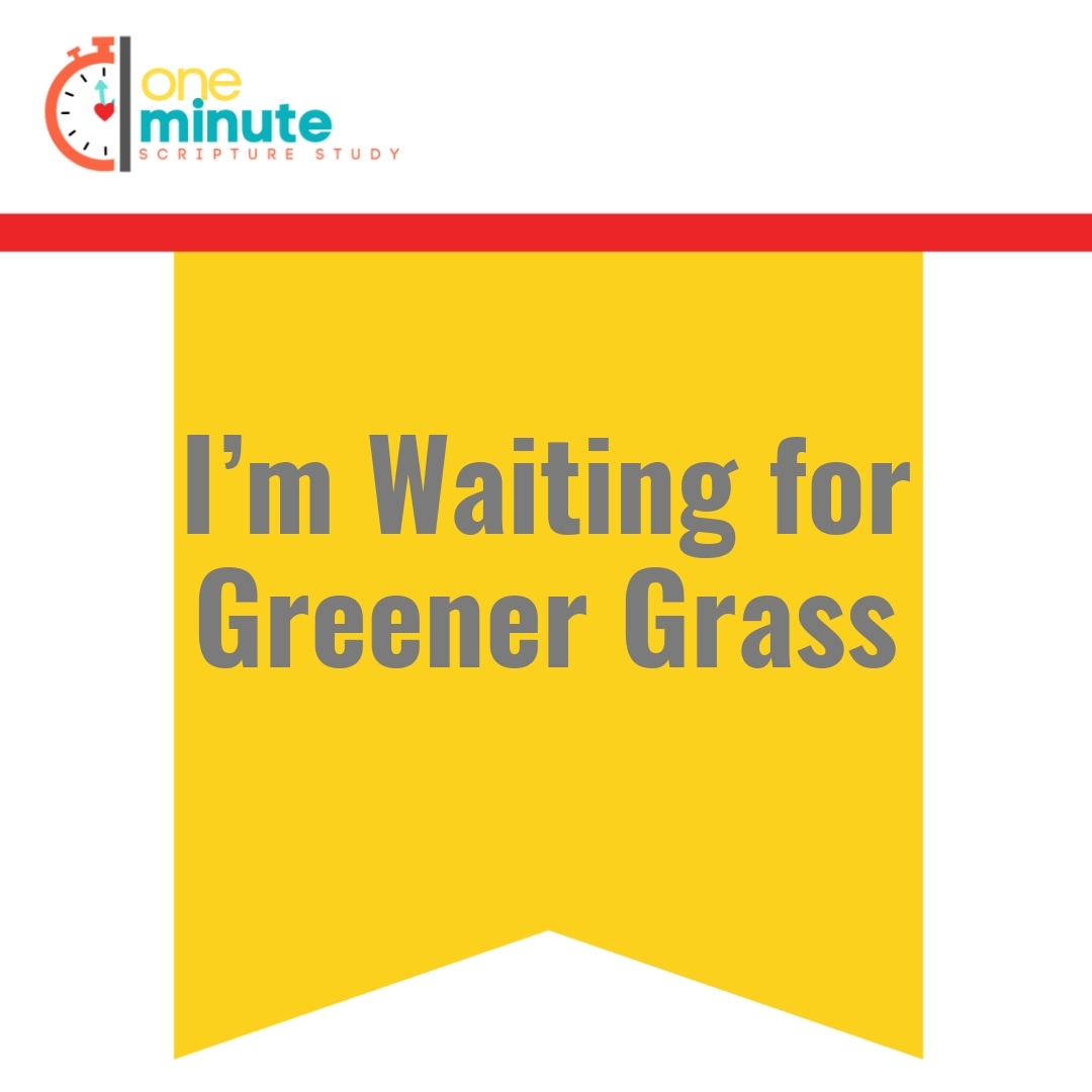Read more about the article I’m Waiting for Greener Grass