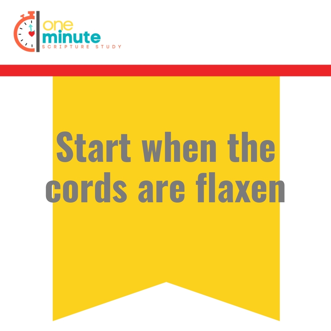 Read more about the article Start when the cords are flaxen