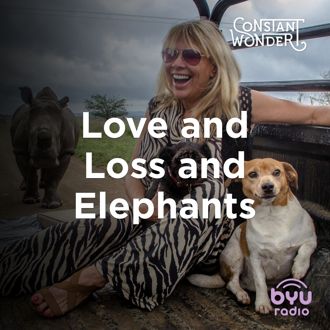 Read more about the article Love and Loss and Elephants