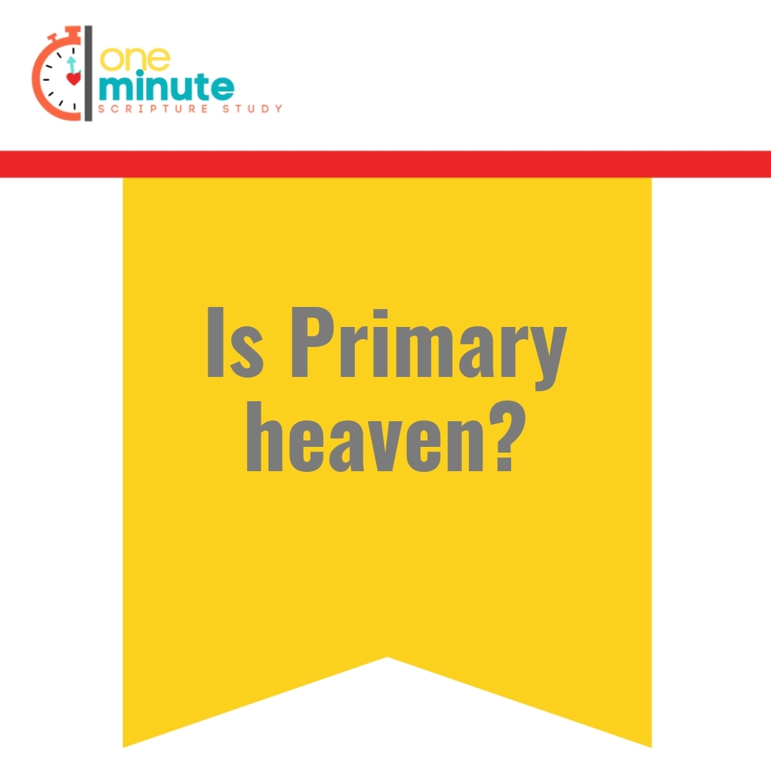 Read more about the article Is Primary heaven?