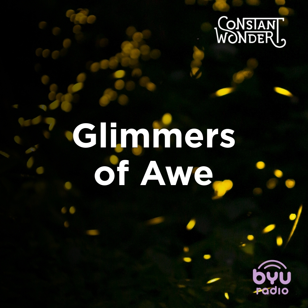 Read more about the article Glimmers of Awe