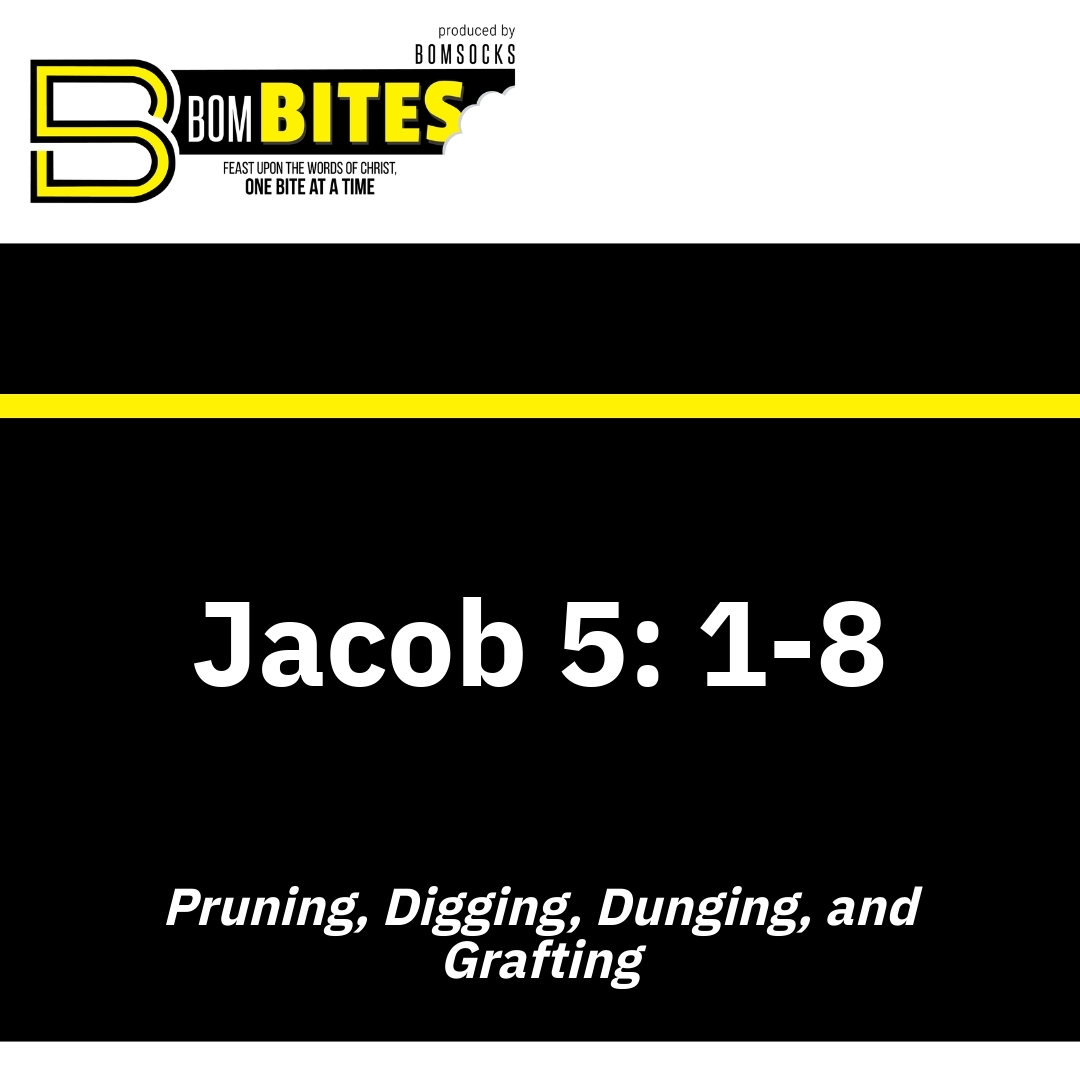 Read more about the article Jacob 5: 1-8