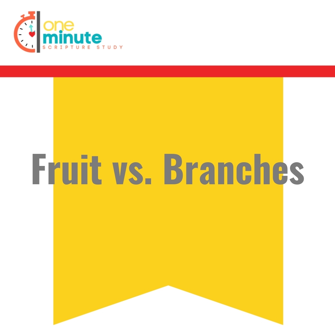 Read more about the article Fruit vs. Branches