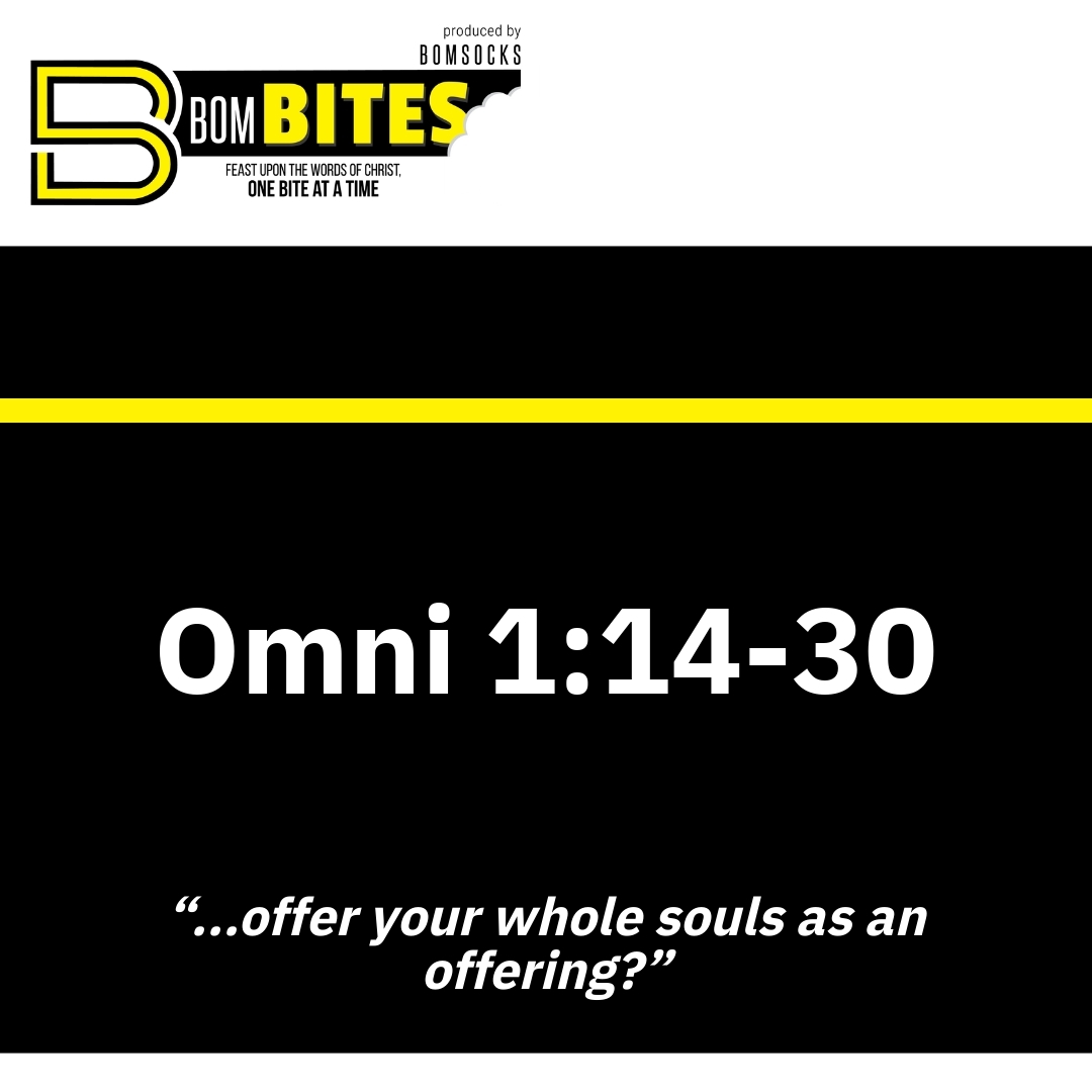 Read more about the article Omni 1:14-30