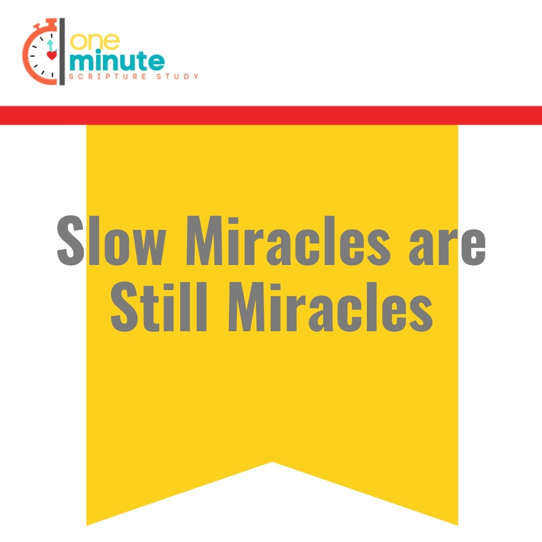 Read more about the article Slow Miracles are Still Miracles