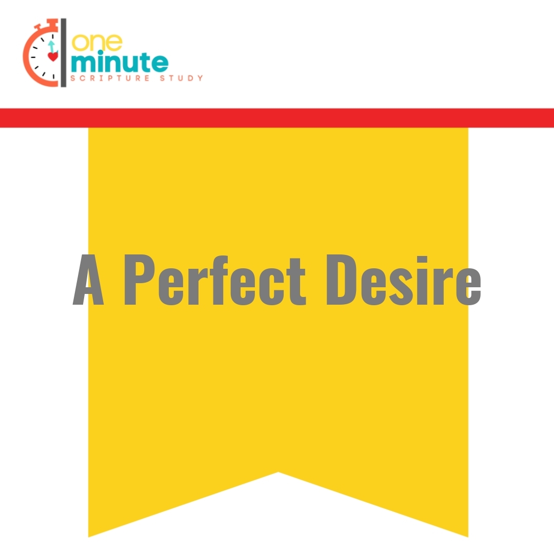 Read more about the article A Perfect Desire