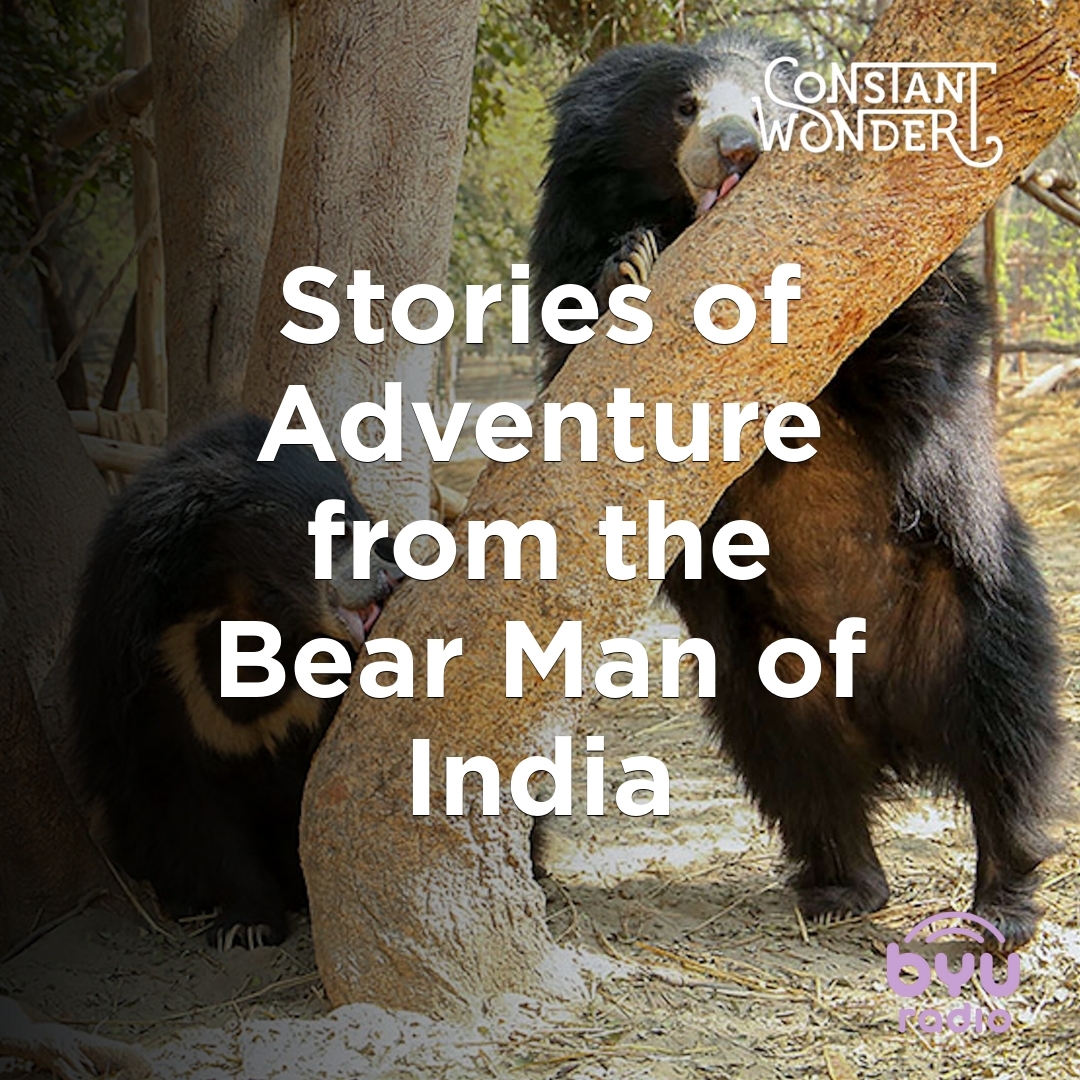 Read more about the article Stories of Adventure from the Bear Man of India