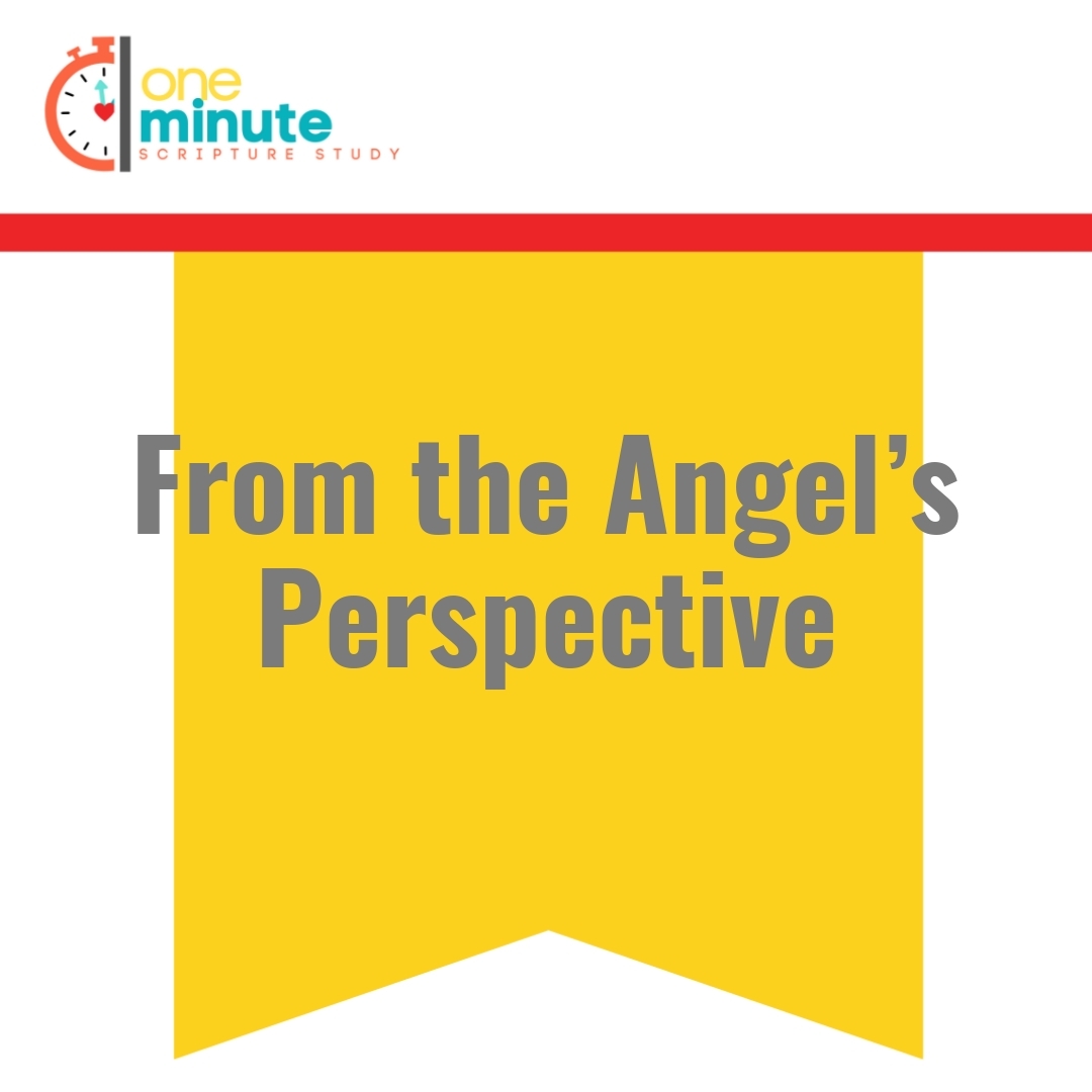 Read more about the article From the Angel’s Perspective