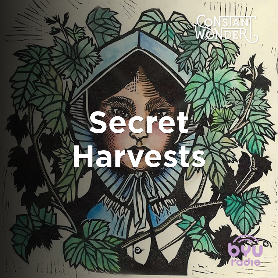 Read more about the article Secret Harvests