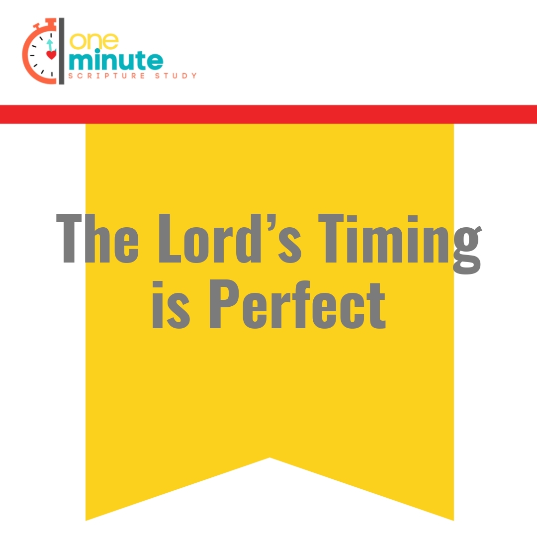 Read more about the article The Lord’s Timing is Perfect