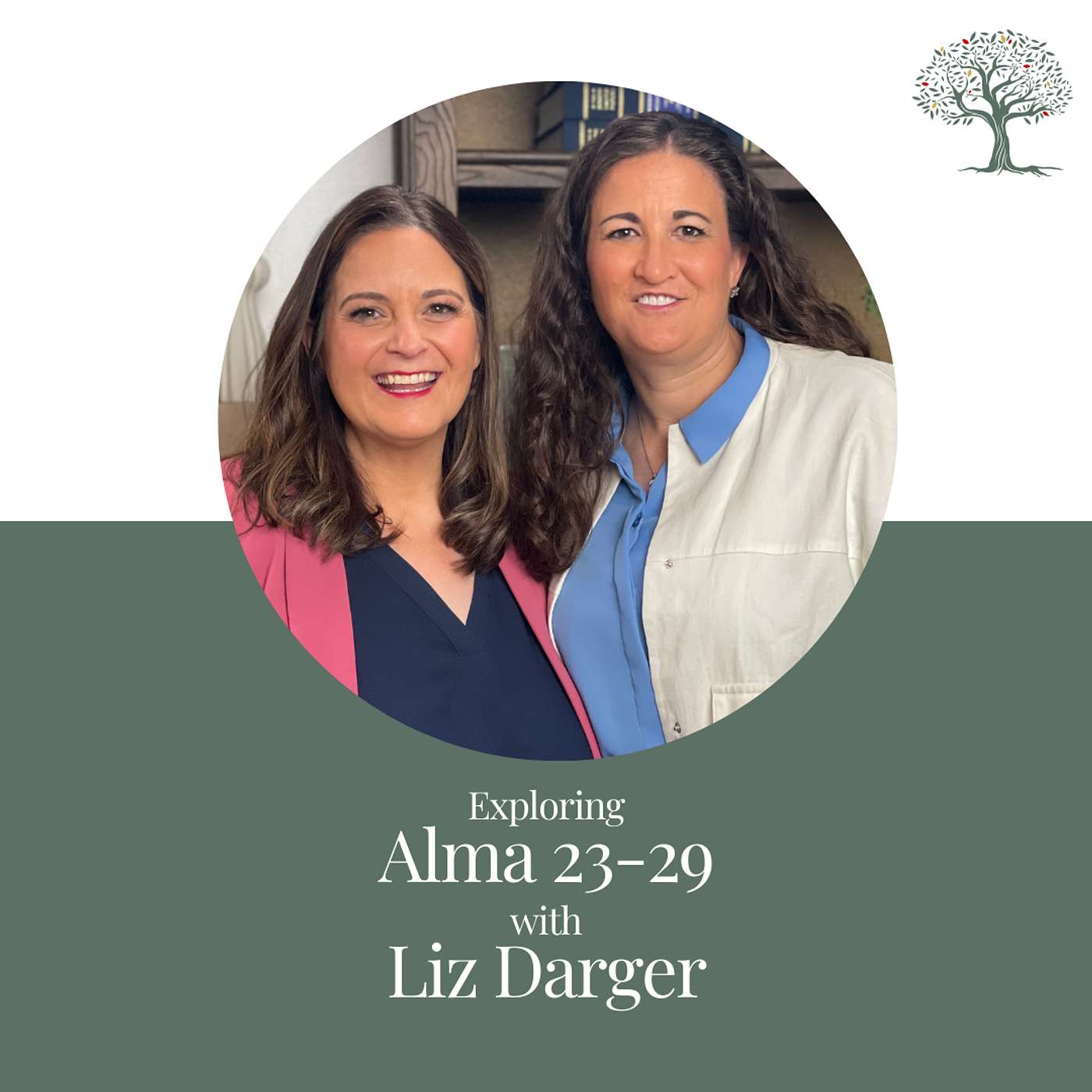Read more about the article Alma 23-29