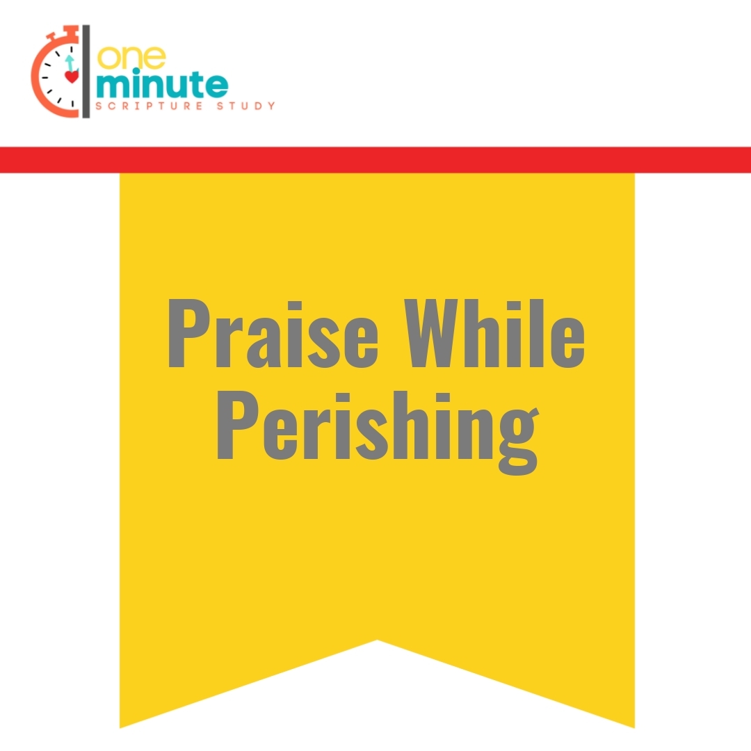 Read more about the article Praise While Perishing