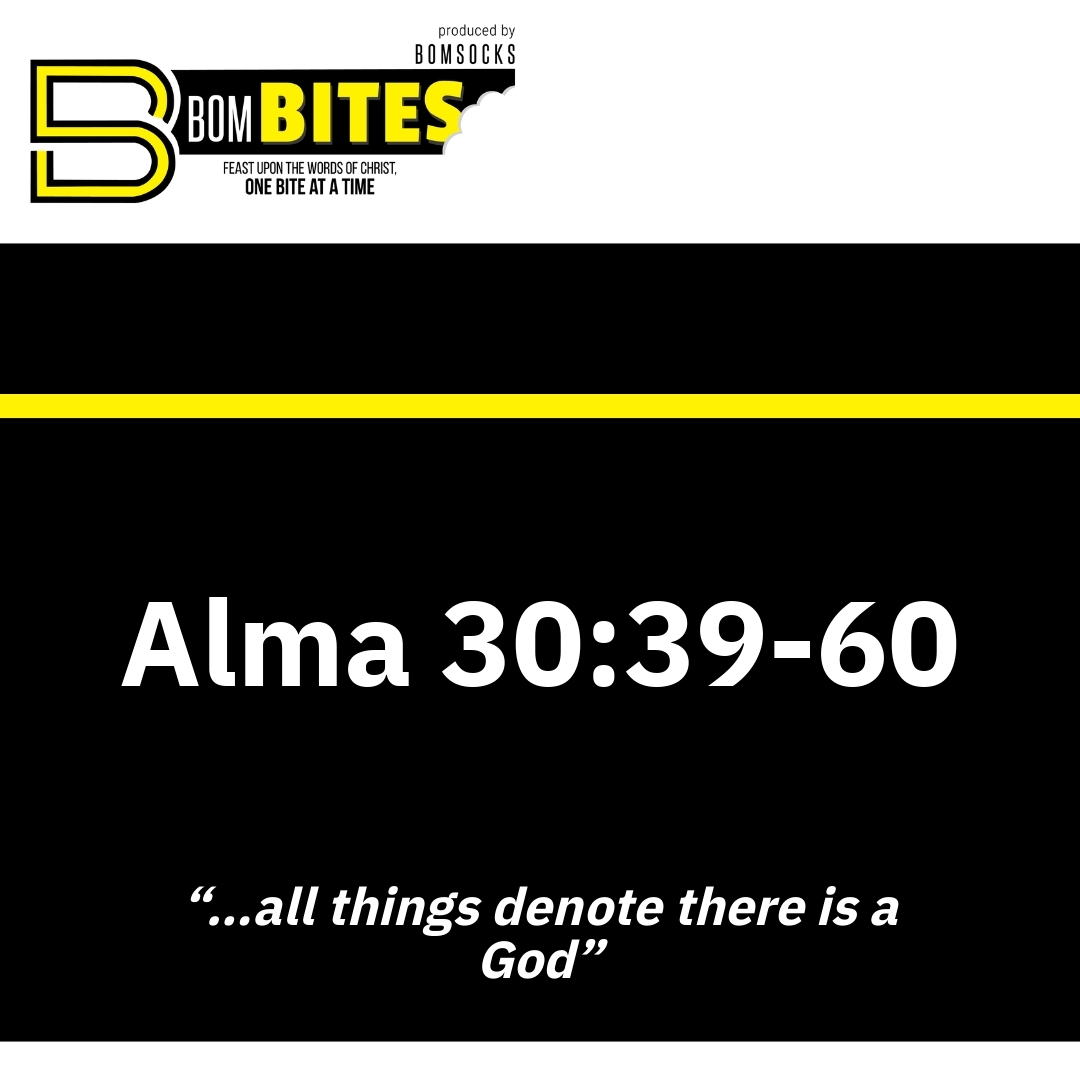 Read more about the article Alma 30:39-60