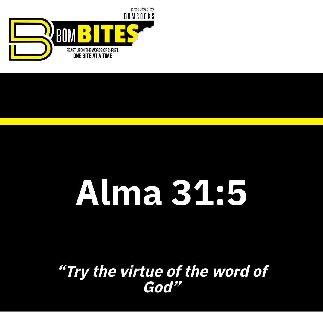 Read more about the article Alma 31:5